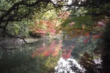 <p>The north garden is home to the largest pond</p>