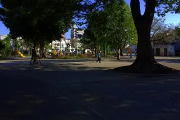 Park near the sharehouse 