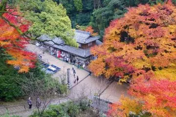 Mt. Shosha Autumn Leaf Festival 2026
