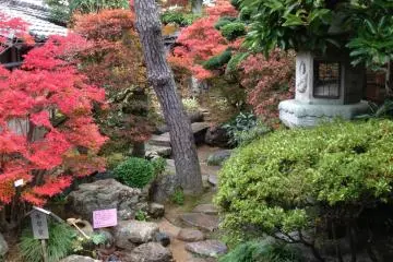 The garden as seen from the engawa in the house.