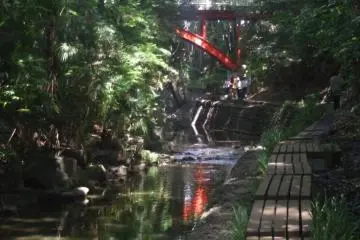 Convenient wooden walkway through the forest