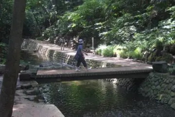 Bridge over untroubled water