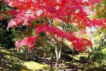 The gardens come alive in the spring.