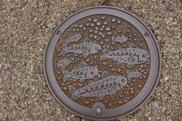 Manhole cover 