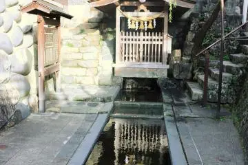 Sogi Sui
