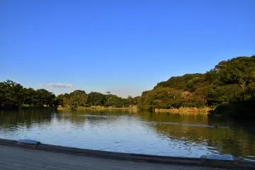 Leaves haven't started changing colors yet in Sankeien Garden