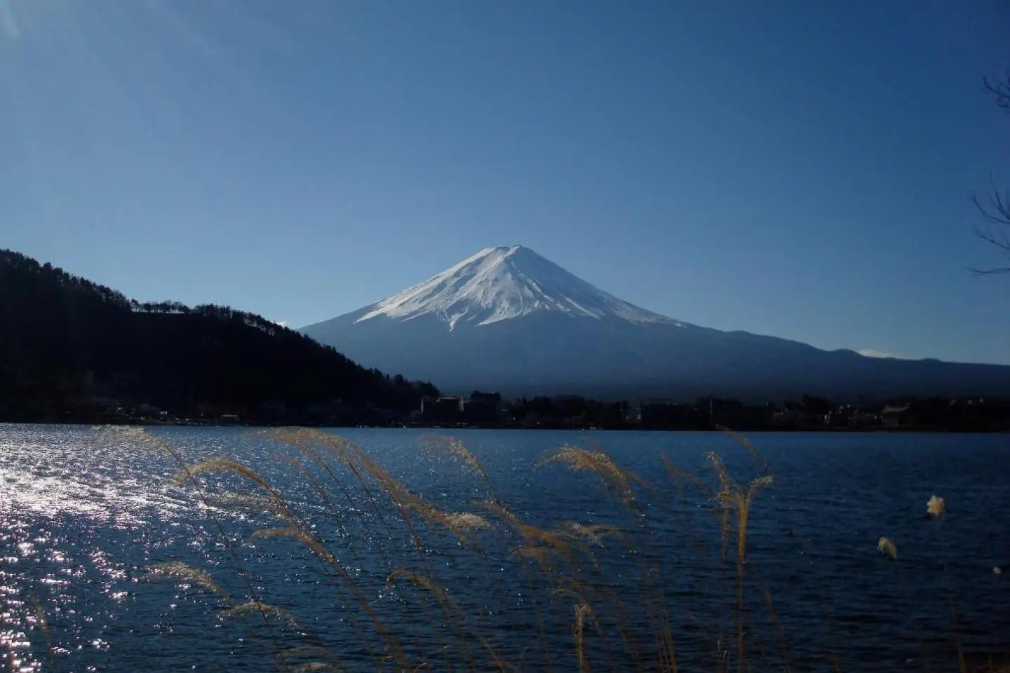 Splendid Day around Lake Kawaguchi