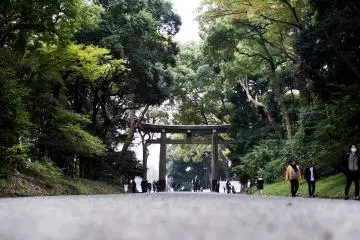 Inner gate