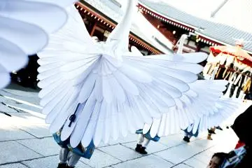  Dancers spread their wings 