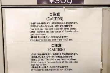Time limits apply, always come back for your luggage on the same day or you will be charged more. After three days your belongings will not be there.