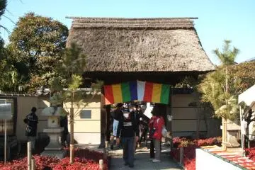 Gallery image