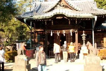 Gallery image