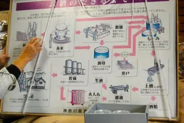 Our Sake education begins (Photo: Carrie Jacobs )