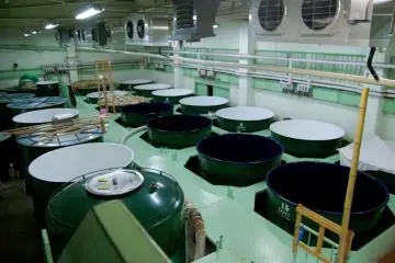 Fermentation Tanks