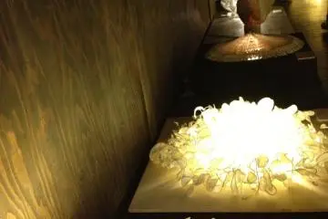 Flower lamps made from washi