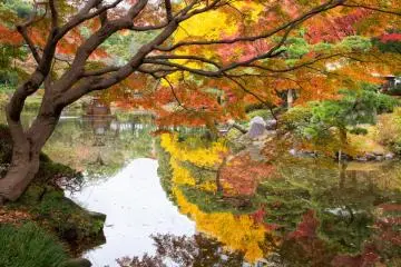 <p>สีสันของฤดูใบไม้ร่วงที่สะท้อนเงาในน้ำ</p>