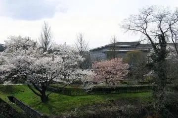 <p>The landscape around the center comes alive during the spring.</p>