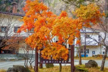 Lake Yunoko Visitor Center 