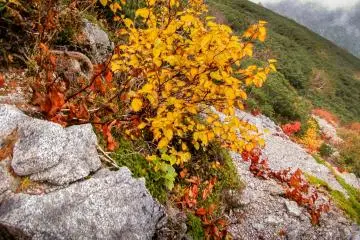 บางส่วนของสีสันอันสดใสที่ผมพบเจอบนยอดเขา