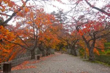 <p>ถนนไปยังประตูด้านทิศตะวันตก</p>