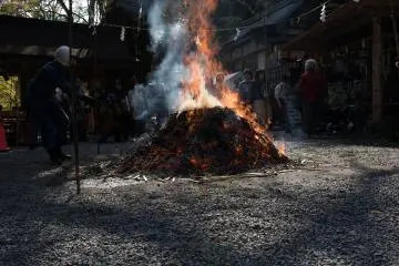 People were sitting in the shade eating lunch as the fire came to an end