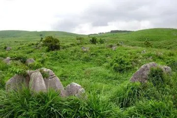 The green landscape is dotted with limestone boulders. (Photo: <a href="http://commons.wikimedia.org/wiki/File:Akiyoshidai_002.jpg" target="_blank" rel="noreferrer noopener nofollow">Wikicommons</a>)