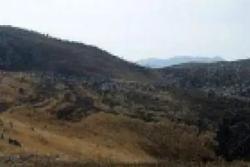 Karst Topography of Akiyoshidai. (Photo: <a href="http://en.wikipedia.org/wiki/File:Karst_topography_at_Akiyoshidai.jpg" target="_blank" rel="noreferrer noopener nofollow">Wikicommons</a>)