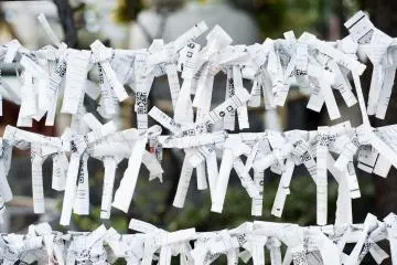 omikuji pine tree
