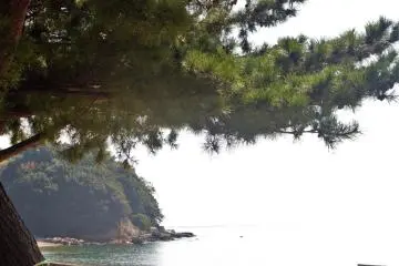 Sometime it is nice to find some shade