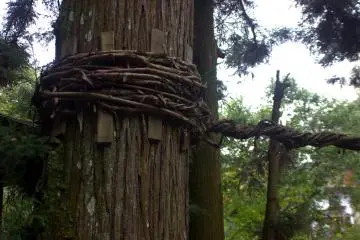 Once supported only by the vines, these bridges now have hidden metal cables so you can rest easy