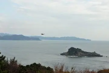 Kites, a kind of sea hawk, comb the coast and circle the bridge