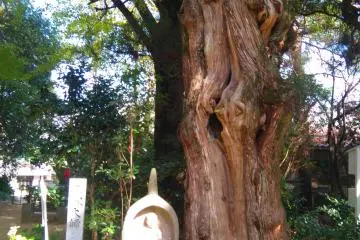 At Joruriji