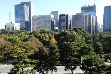 <p>A view over the trees to Marunouchi's skyscrapers</p>