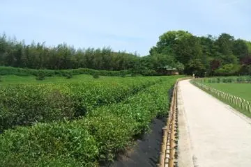 Korakuen Garden path