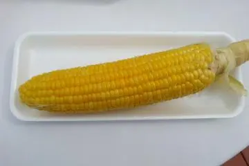 Hokkaido corn