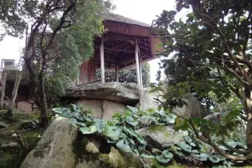 The Lookout