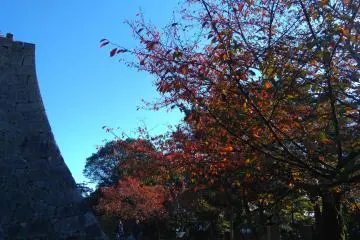 More splendour