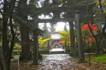 Gallery image