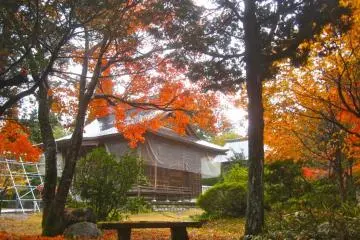 The main building