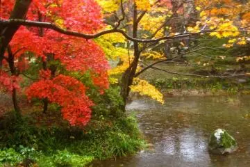It's easy to become obsessed with the beauty of this pond