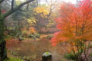 On a subsequent visit the pond looked like this