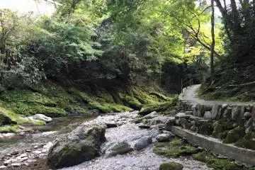Kiri no mori's gorgeous scenery
