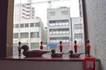 Cute ducks to greet us