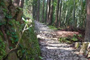 Kumano Kodo- "Way of St. James" di Jepang