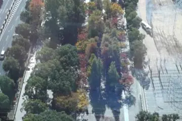 There's a pleasant, leafy park to the south of the tower