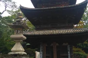 Flowers, a pagoda, and zen circles...