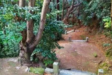 Pleasant raked earth paths wind over the hill