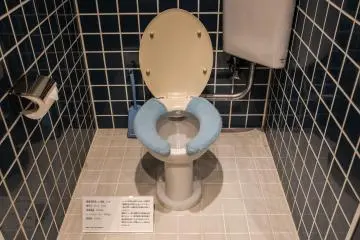 I have encountered these furry toilet covers here in Japan. They are interesting