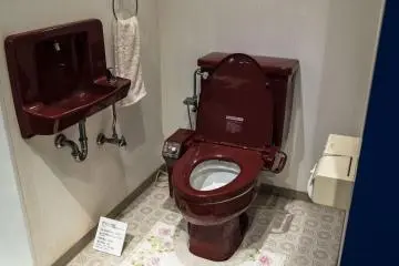 Another color variation to the classic white TOTO is famous for
