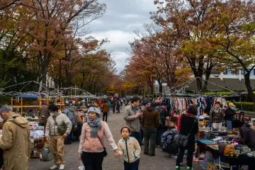 The crowd for the morning with autumn leaves intermittently falling